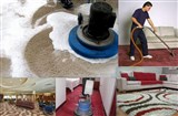 Chất tẩy điểm giặt thảm trải sàn